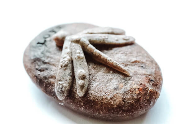 Dragonfly-Comfort-Keepsake-With-Ashes